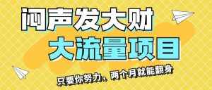 （11688期）闷声发大财，大流量项目，月收益过3万，只要你努力，两个月就能翻身-泰戈创艺资源库