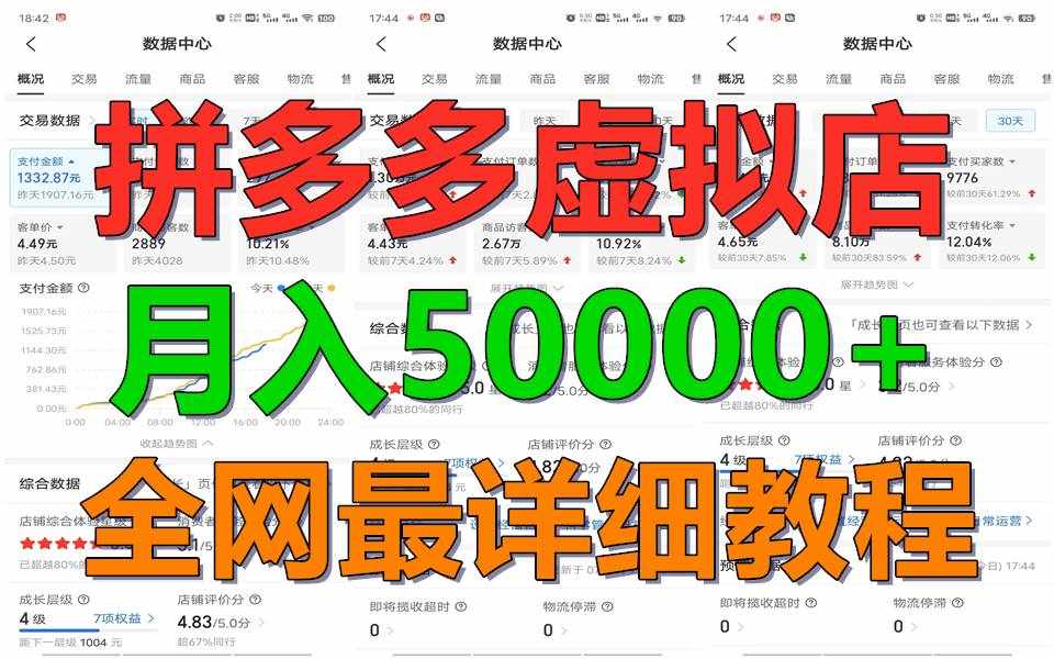 拼多多虚拟电商训练营月入50000+你也行，暴利稳定长久，副业首选-泰戈创艺资源库