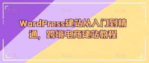 WordPress建站从入门到精通,跨境电商建站教程-泰戈创艺资源库