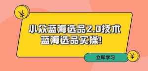拼多多培训第33期：小众蓝海选品2.0技术-蓝海选品实操！-泰戈创艺资源库