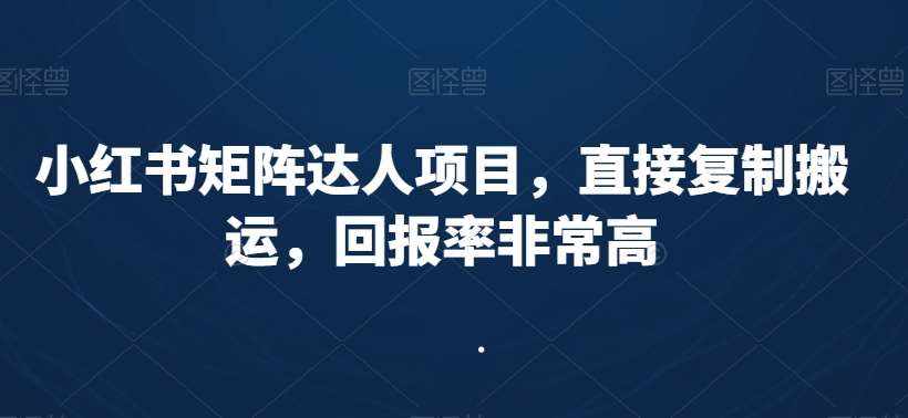 小红书矩阵达人项目，直接复制搬运，回报率非常高-泰戈创艺资源库
