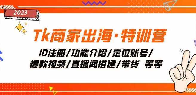 Tk商家出海·特训营：ID注册/功能介绍/定位账号/爆款视频/直播间搭建/带货-泰戈创艺资源库