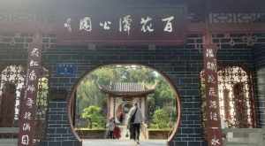 某公众号付费文章，壬戌癸亥月剧本之“锦鲤龙行”，见者好运-泰戈创艺资源库