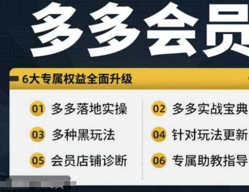 拼多多会员，拼多多实战宝典+实战落地实操，从新手到高阶内容全面覆盖-泰戈创艺资源库