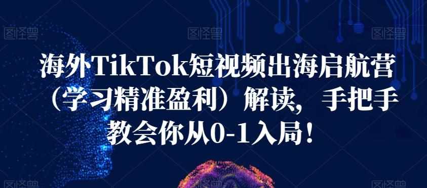 海外TikTok短视频出海启航营（学习精准盈利）解读，手把手教会你从0-1入局！-泰戈创艺资源库