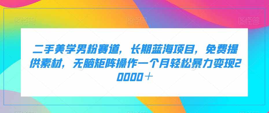 百家最新搬运玩法，单号月入5000+【揭秘】-泰戈创艺资源库