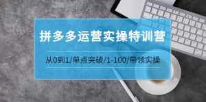 拼多多运营实操特训营:从0到1/单点突破/1-100/带领实操 价值2980元-泰戈创艺资源库