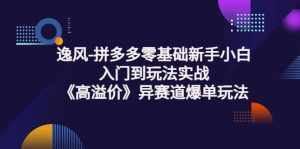 拼多多零基础新手小白入门到玩法实战《高溢价》异赛道爆单玩法实操课-泰戈创艺资源库