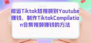 搬运Tiktok短视频到Youtube赚钱,制作Tiktok Compilation合集视频赚钱的方法-泰戈创艺资源库
