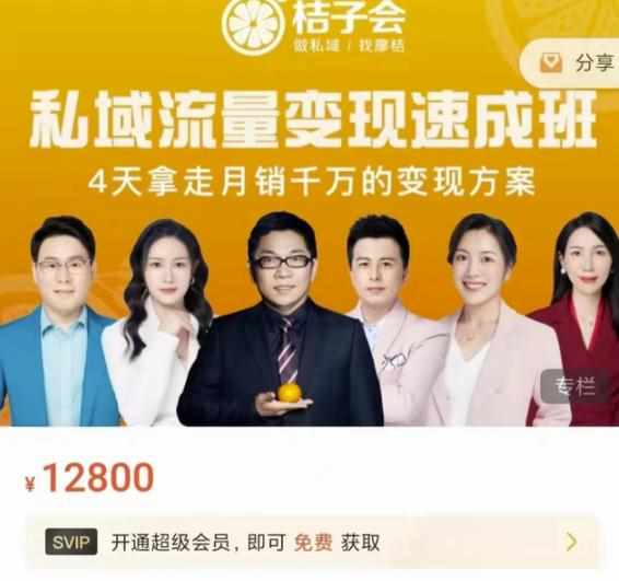 桔子会·私域流量变现速成班，4天拿走月销千万的变现方案 价值12800元-泰戈创艺资源库