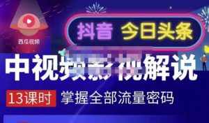 嚴如意·中视频影视解说—掌握流量密码，自媒体运营创收，批量运营账号-泰戈创艺资源库