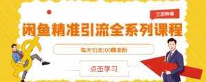 闲鱼精准引流全系列课程，每天引流100精准粉【视频课程】-泰戈创艺资源库