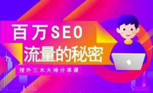 SEO实操培训：玩转百万SEO流量，助力站长快速提升流量（搜外三木大神分享课）-泰戈创艺资源库