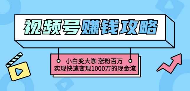 玩转微信视频号赚钱：小白变大咖涨粉百万实现快速变现1000万的现金流-泰戈创艺资源库