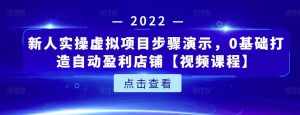 新人实操虚拟项目步骤演示,0基础打造自动盈利店铺【视频课程】-泰戈创艺资源库