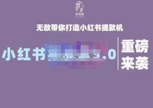 谢无敌·小红书实战营3.0，无敌带你打造小红书提款机 价值7999元-泰戈创艺资源库