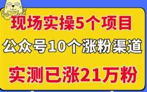现场实操5个公众号项目,10个涨粉渠道,实测已涨21万粉!-泰戈创艺资源库