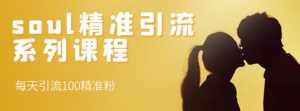 soul精准引流系列课程,每天引流100精准粉-泰戈创艺资源库