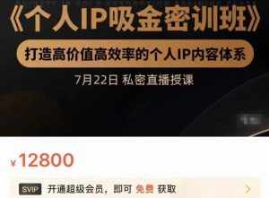 个人IP吸金密训班，打造高价值高效率的个人IP内容体系（价值12800元）-泰戈创艺资源库