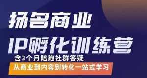 杨名商业IP孵化训练营,从商业到内容到转化一站式学 价值5980元-泰戈创艺资源库