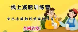 线上减肥训练营，足不出户，仅靠拉几个社群，发几条朋友圈，就可以月实现入五位【揭秘】-泰戈创艺资源库