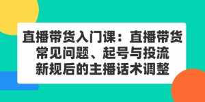 直播带货入门课:直播带货常见问题、起号与投流、新规后的主播话术调整-泰戈创艺资源库