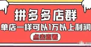 拼多多店群单店一样可以产出1万5以上利润【付费文章】-泰戈创艺资源库
