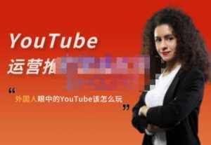 外国人眼中的YouTube该怎么玩？Elisa·YouTube运营推广实战技巧-泰戈创艺资源库