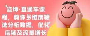 盗坤·直通车课程，教你多维度筛选分析数据，优化店铺及流量增长-泰戈创艺资源库
