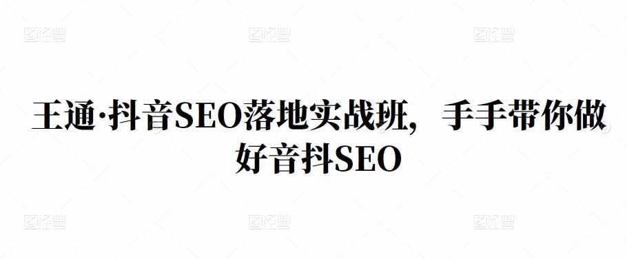 王通·抖音SEO落地实战班，手‬手带你做好音抖‬‬SEO-泰戈创艺资源库