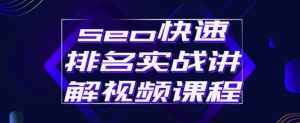 seo快速排名实战讲解视频课程，揭秘seo快排原理-泰戈创艺资源库
