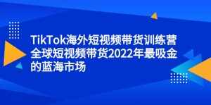 TikTok海外短视频带货训练营，全球短视频带货2022年最吸金的蓝海市场-泰戈创艺资源库
