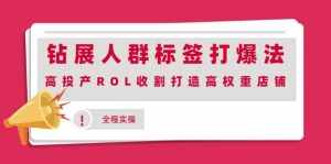 钻展人群标签打爆法，高投产ROL收割打造高权重店铺(全程实操)-泰戈创艺资源库