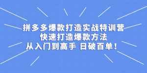 拼多多爆款打造实战特训营:快速打造爆款方法,从入门到高手 日破百单-泰戈创艺资源库