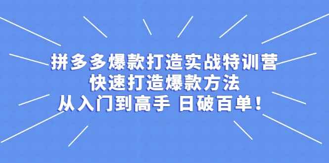 拼多多爆款打造实战特训营：快速打造爆款方法，从入门到高手 日破百单-泰戈创艺资源库