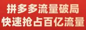 阿杰·拼多多流量破局:如何打黑标,爆款的思路,拼多多流量框架,快速抢占百亿流量-泰戈创艺资源库
