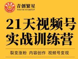 张萌21天视频号实战训练营，裂变涨粉、内容创作、视频号变现 价值298元-泰戈创艺资源库