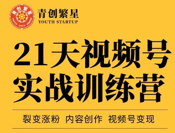 张萌21天视频号实战训练营，裂变涨粉、内容创作、视频号变现 价值298元-泰戈创艺资源库