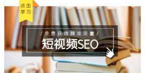 未来新趋势，布局短视频SEO，如何利用抖音SEO免费获得精准流量（3节课）-泰戈创艺资源库
