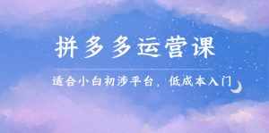 拼多多运营课，适合小白初涉平台，低成本入门-泰戈创艺资源库