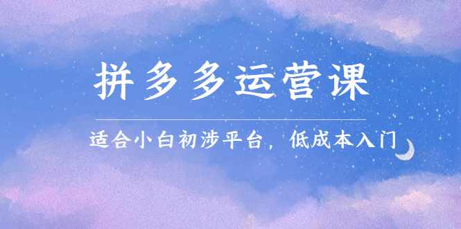 拼多多运营课，适合小白初涉平台，低成本入门-泰戈创艺资源库