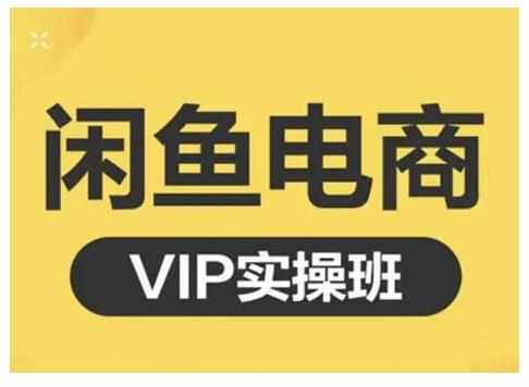闲鱼电商零基础入门到进阶VIP实战课程，帮助你掌握闲鱼电商所需的各项技能-泰戈创艺资源库