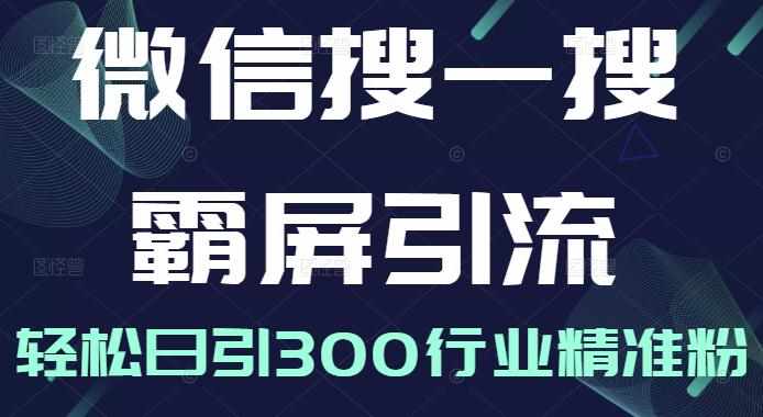 微信搜一搜霸屏引流课，打造被动精准引流系统，轻松日引300行业精准粉【无水印】-泰戈创艺资源库