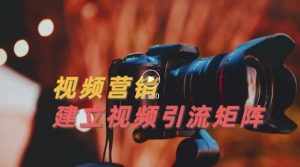 视频精准引流矩阵打造，帮助新手建立涨粉系统！【视频课程】-泰戈创艺资源库