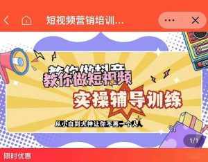 蕊总很忙·短视频营销培训实操课教你快速入门,教你做抖音短视频-泰戈创艺资源库