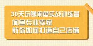 30天玩赚闲鱼实战训练营，闲鱼专业卖家教你如何打造自己店铺-泰戈创艺资源库