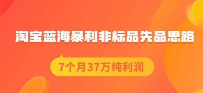 盗坤淘宝蓝海暴利非标品先品思路，7个月37万纯利润，压箱干货分享！【付费文章】-泰戈创艺资源库
