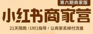 贾真-小红书商家营第6期商家版,21天带货陪跑课,让商家丢掉付流量-泰戈创艺资源库