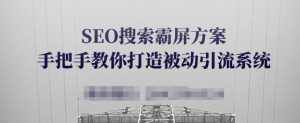 SEO搜索霸屏方案，手把手教你打造被动引流系统【视频课程】-泰戈创艺资源库