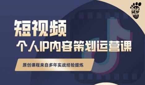 抖音短视频个人ip内容策划实操课，真正做到普通人也能实行落地-泰戈创艺资源库